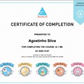 Certificado (1).jpg